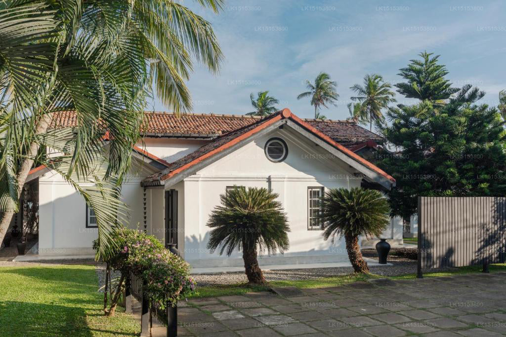 كوكو تانجالا، تانجالي