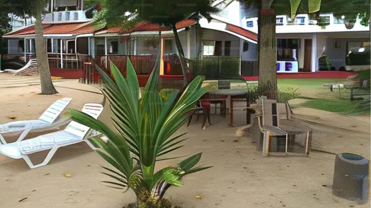 Weligama Bay View, Weligama