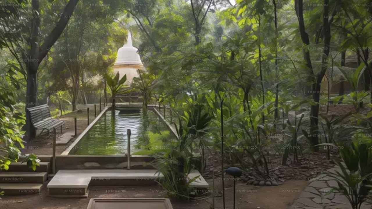 Casa Heliconia, Katunayake