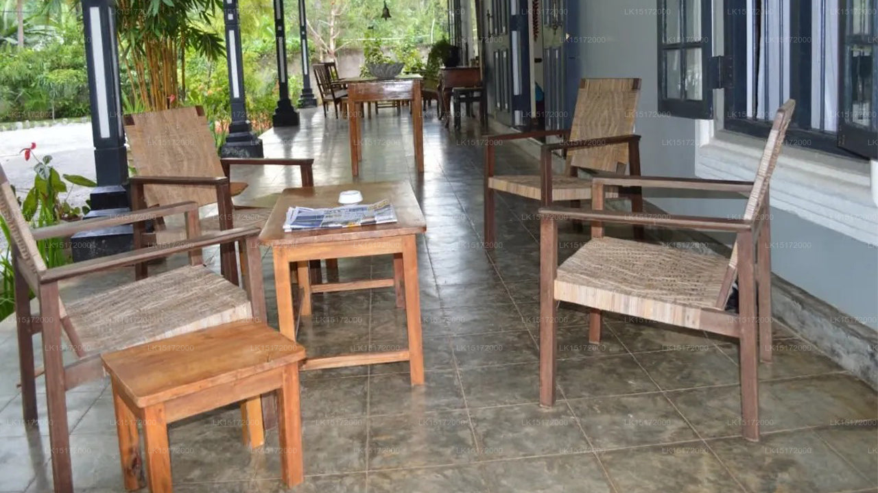 The Ficus Grove, Habarana