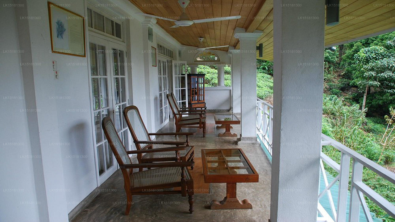 Forest Edge, Kithulgala