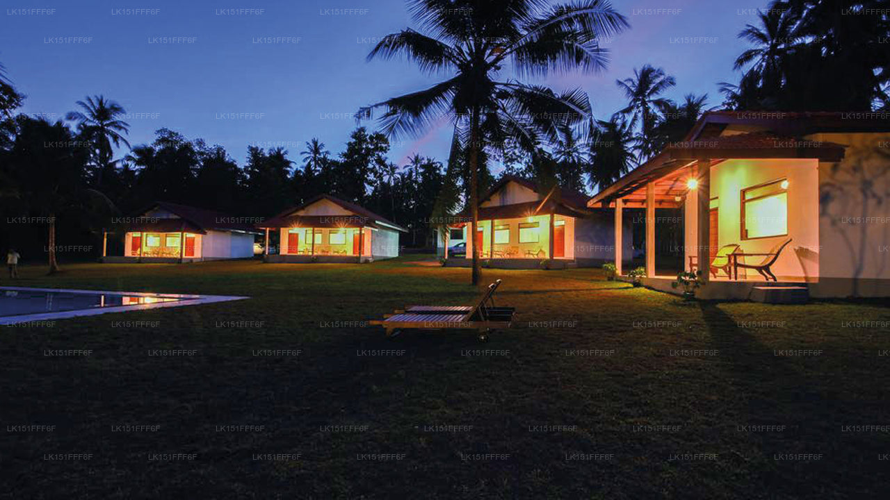 Ambarella Lodge - Katunayake