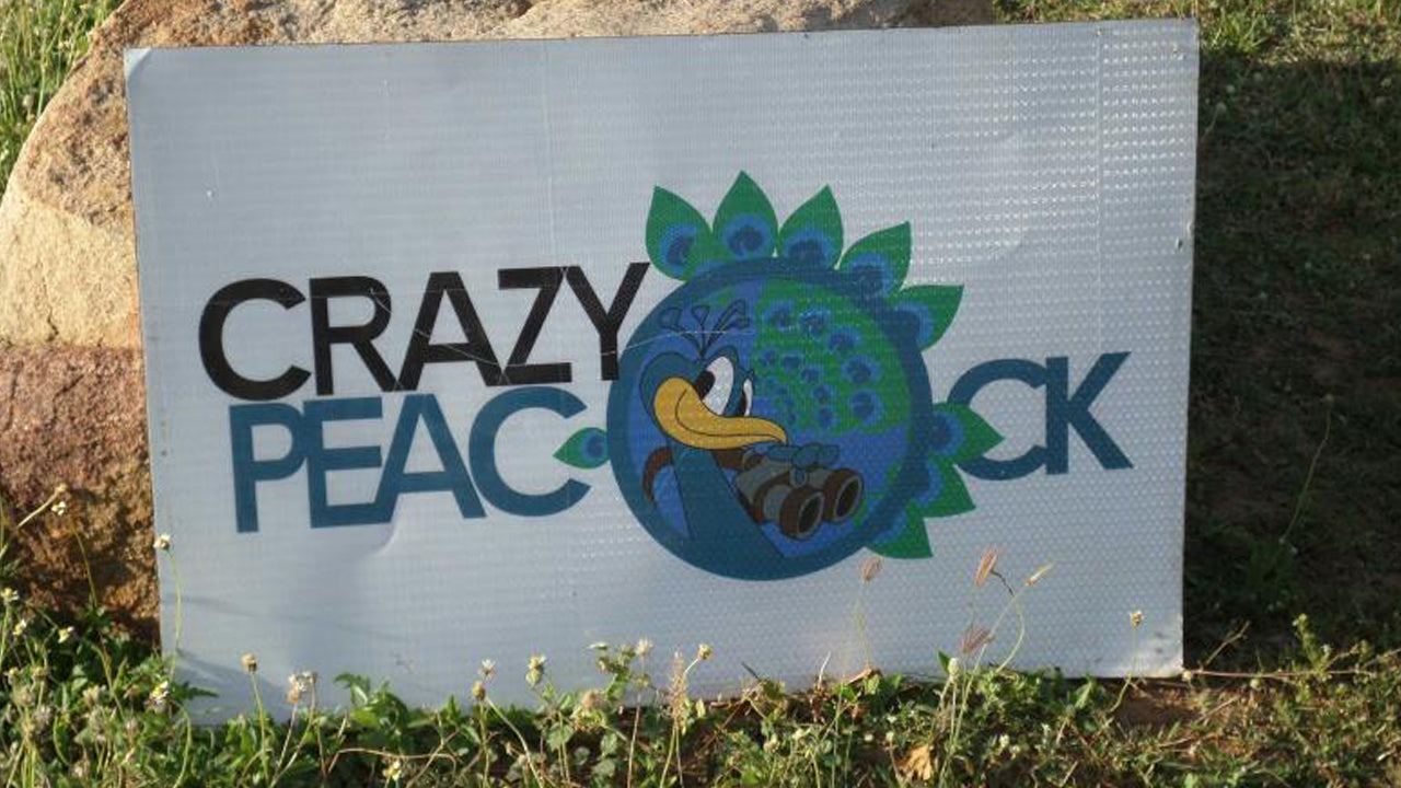 Crazy Peacock, Kirinda