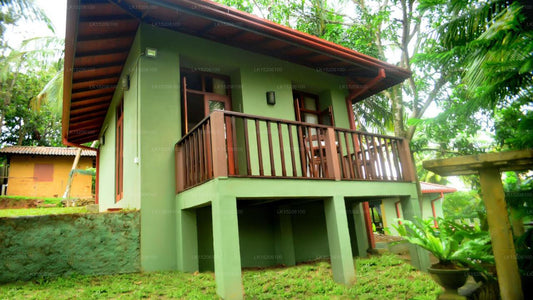 Tropical Retreat, Galle