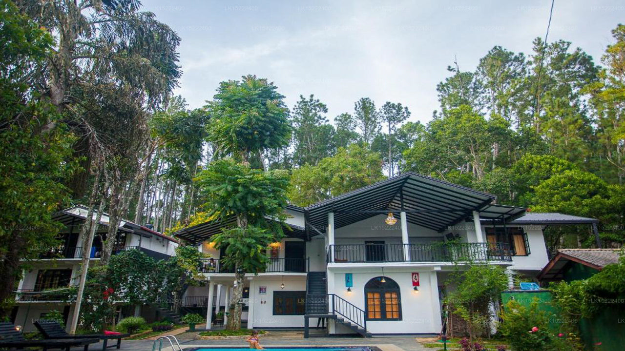 Forest Paradise, Ella