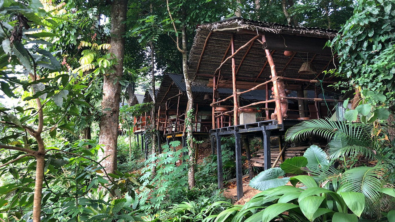 Borderlands Adveture Eco Lodge, Kitulgala