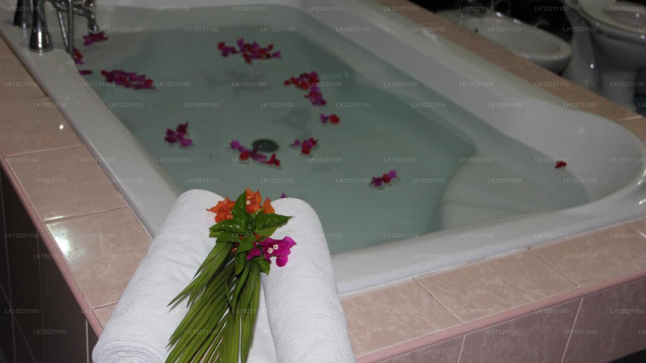 Norfolk Airport Villa, Katunayake