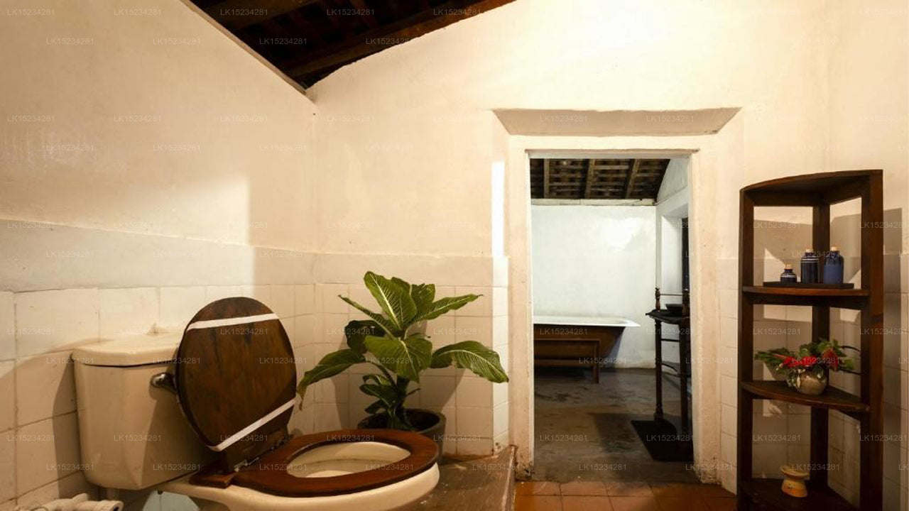 Bathroom interior with toilet, plant, and shelf.