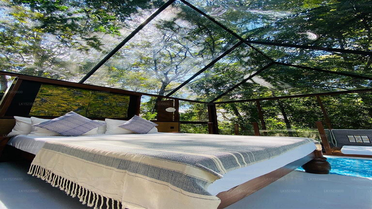 Diyabubula the Barberyn Art & Jungle Hideaway, Dambulla
