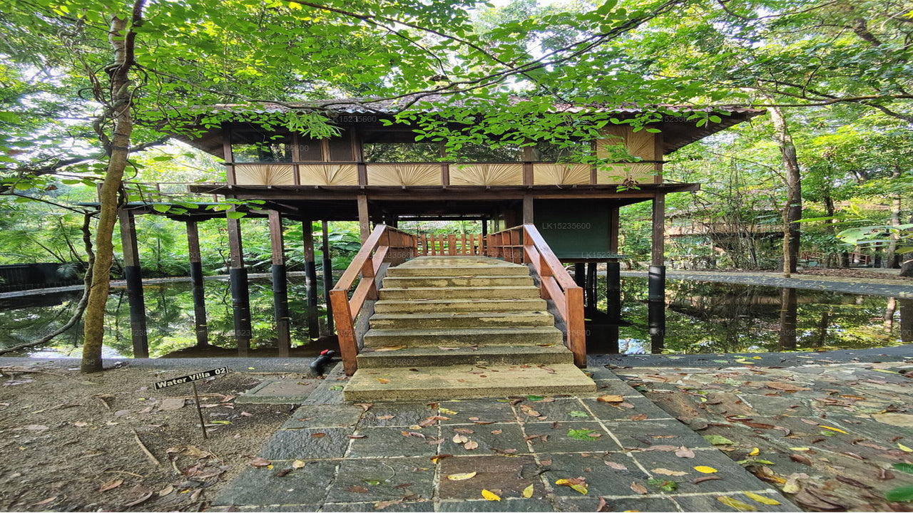 Diyabubula the Barberyn Art & Jungle Hideaway, Dambulla