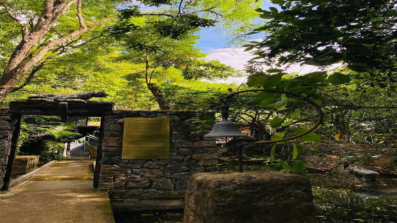 Diyabubula the Barberyn Art & Jungle Hideaway, Dambulla