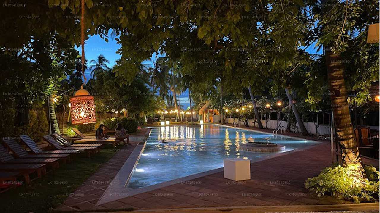 Blue Whale Resort, Kalpitiya