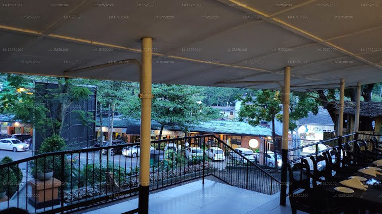 Elephant Villa, Ambepussa