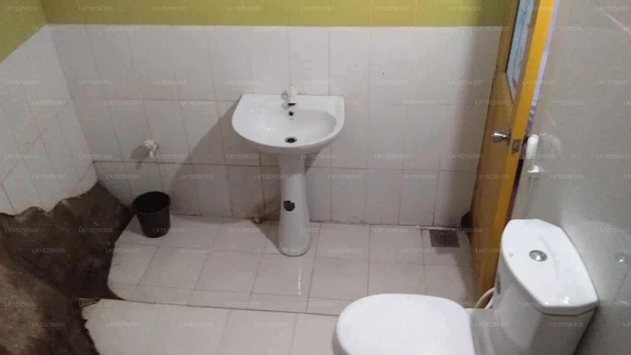 Wewdiya Holiday Home, Mahiyanganaya