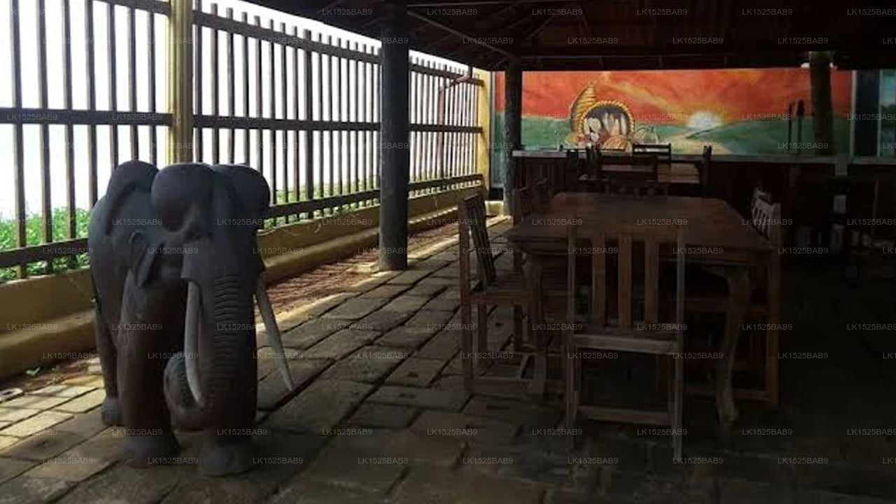 Astonishing Villa Firenze, Galle