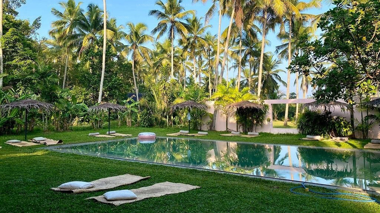 New Palm Resort, Ahangama