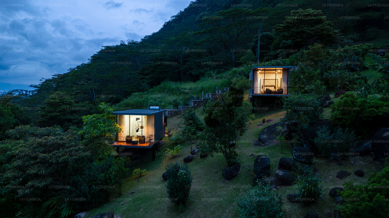 Ferndale Retreat Knuckles, Ranagala, Kandy