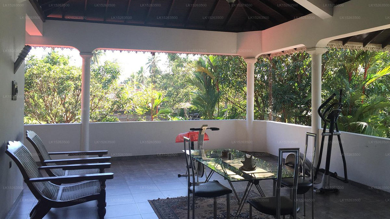 Negombo Village Guest house ,Negombo