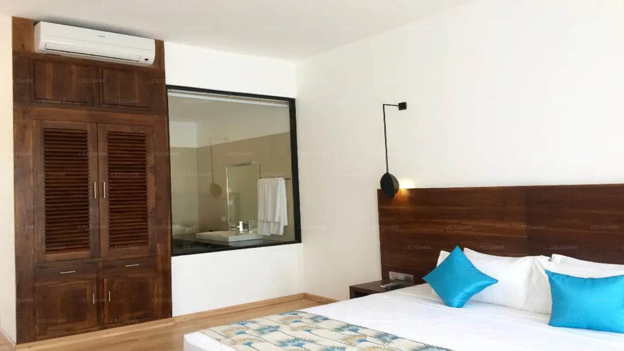 The Rain Tree, Tissamaharama