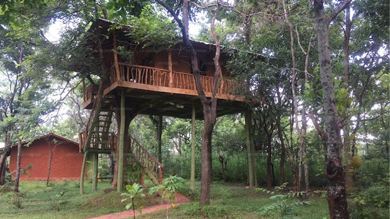 Villa Yoho Lotus Eco Villa, Sigiriya