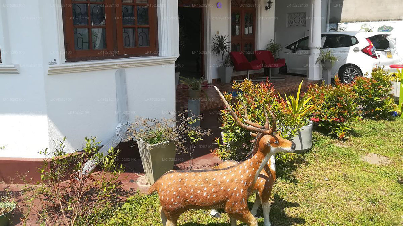 Yoho Wonderful Villa, Negombo