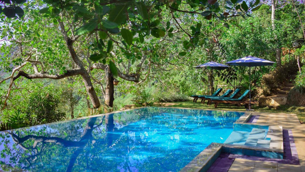 Hemingford, Pussellawa