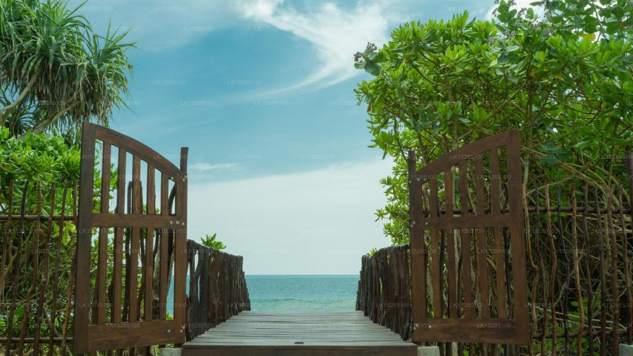 Ceu Ceylon, Kalametiya