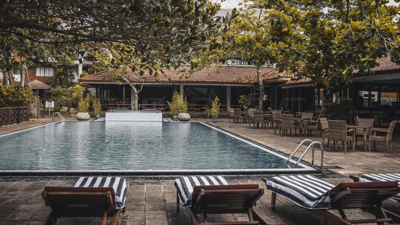 Tree of Life Nature Resort, Kandy