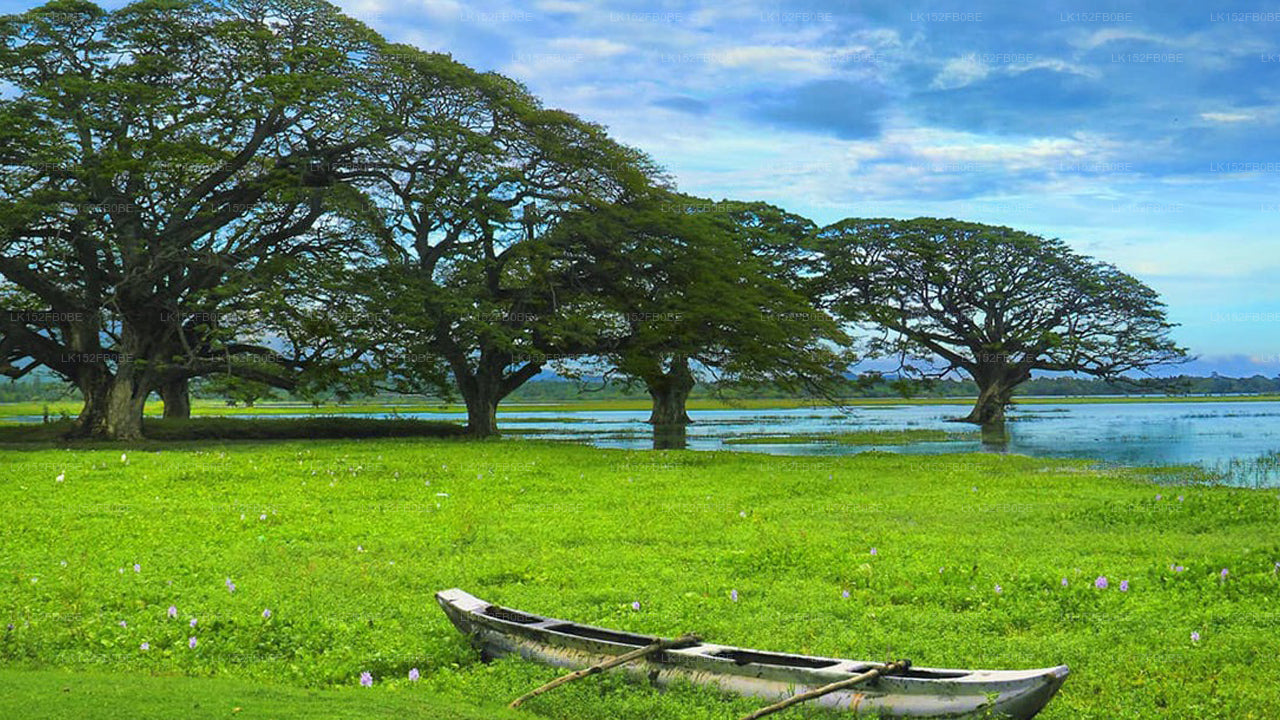 Lake View Cottage, Tissamaharama