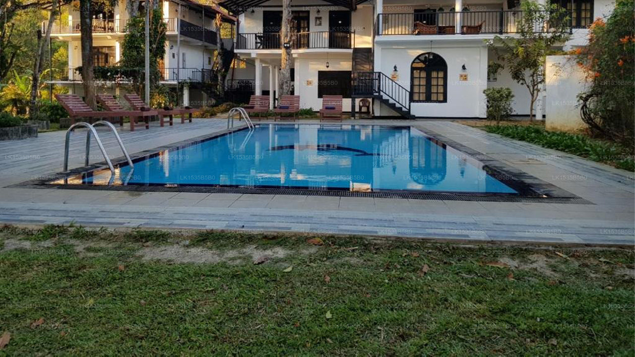 Ella Forest Paradise Hotel