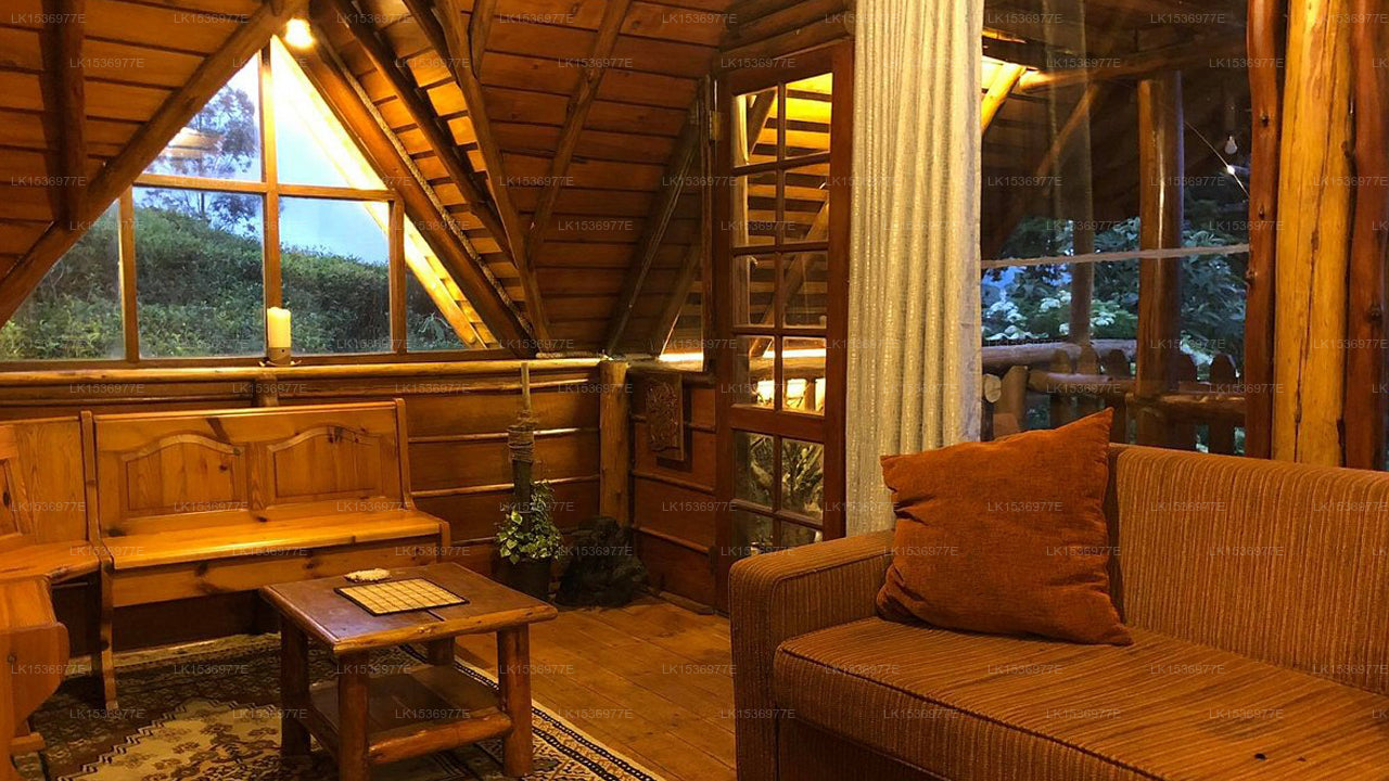 The Log, Nuwara Eliya