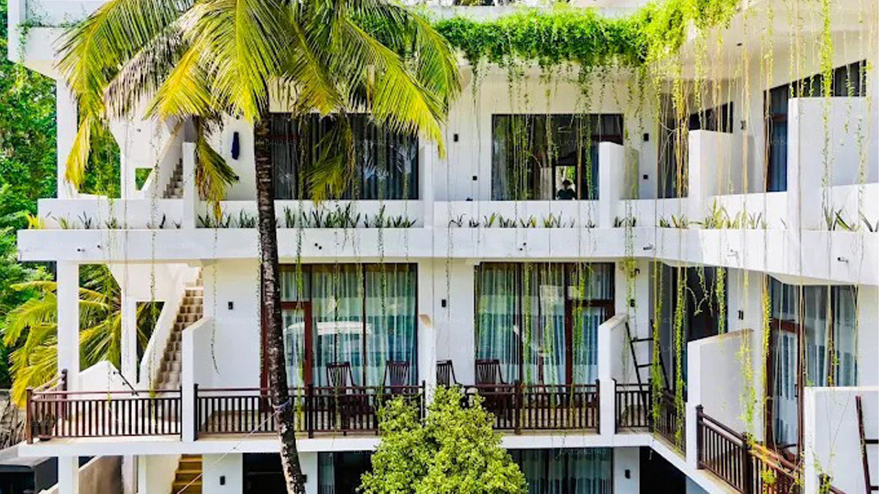 Bay Hiriketiya, Dikwella