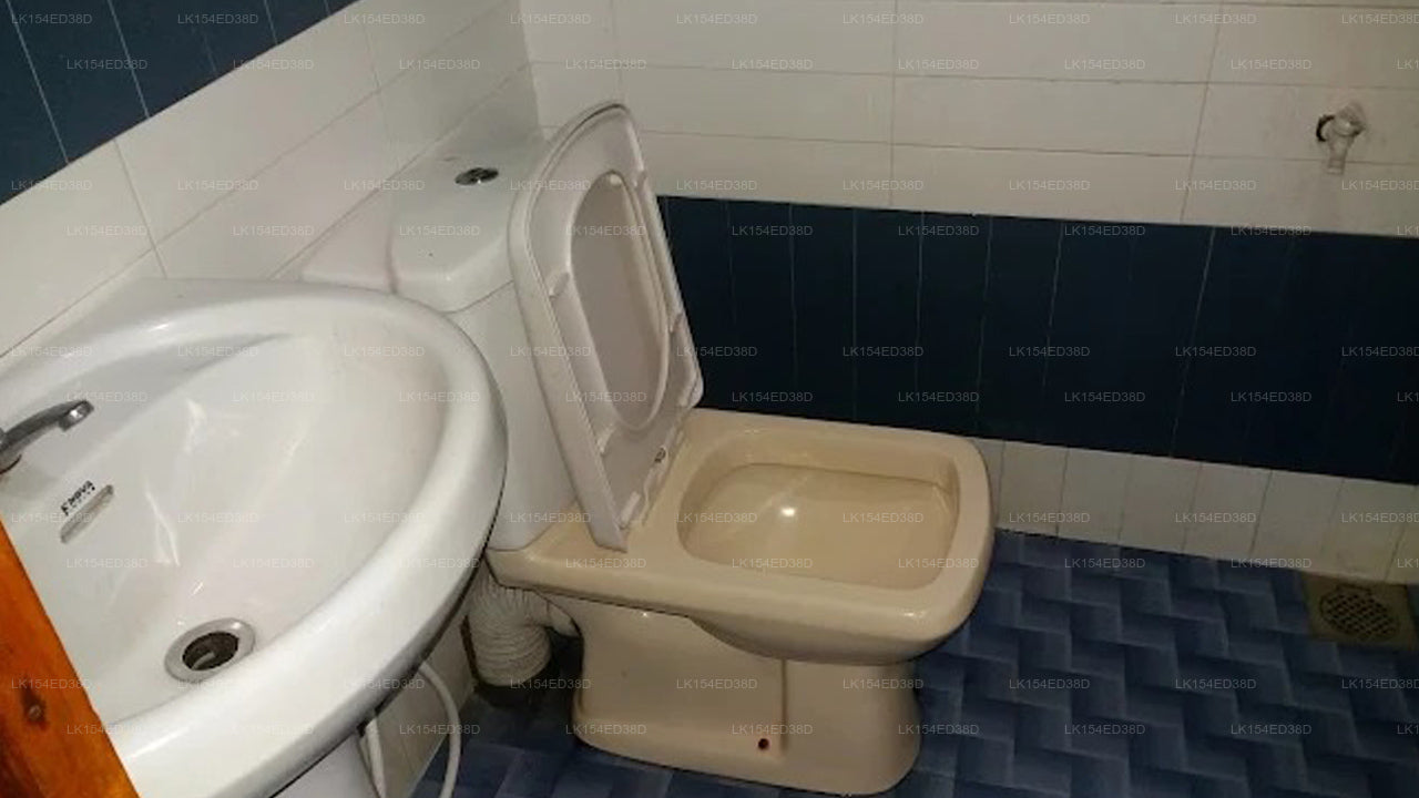 Blue Mountain Agri  Holiday Home, Bandarawela