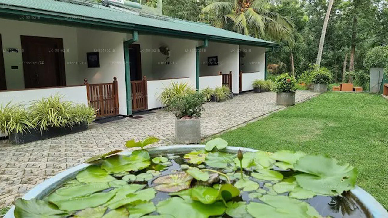Ramsey Resort, Anuradhapura