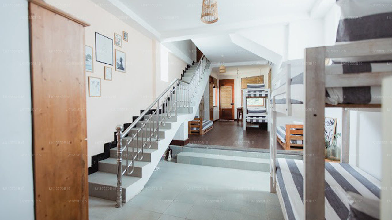 Layback Surf & Yoga Camp, Weligama