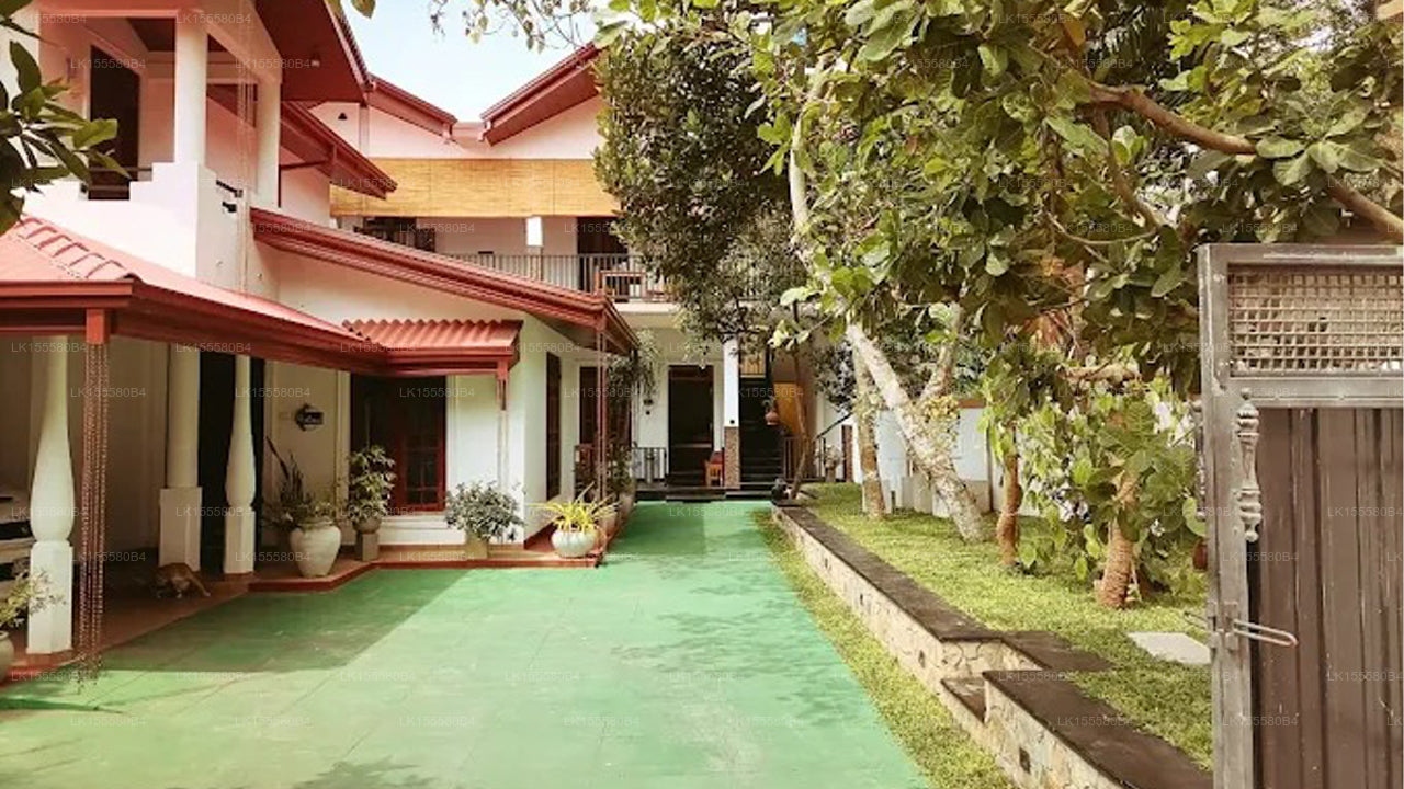 Ceylonima Homestay, Anuradhapura