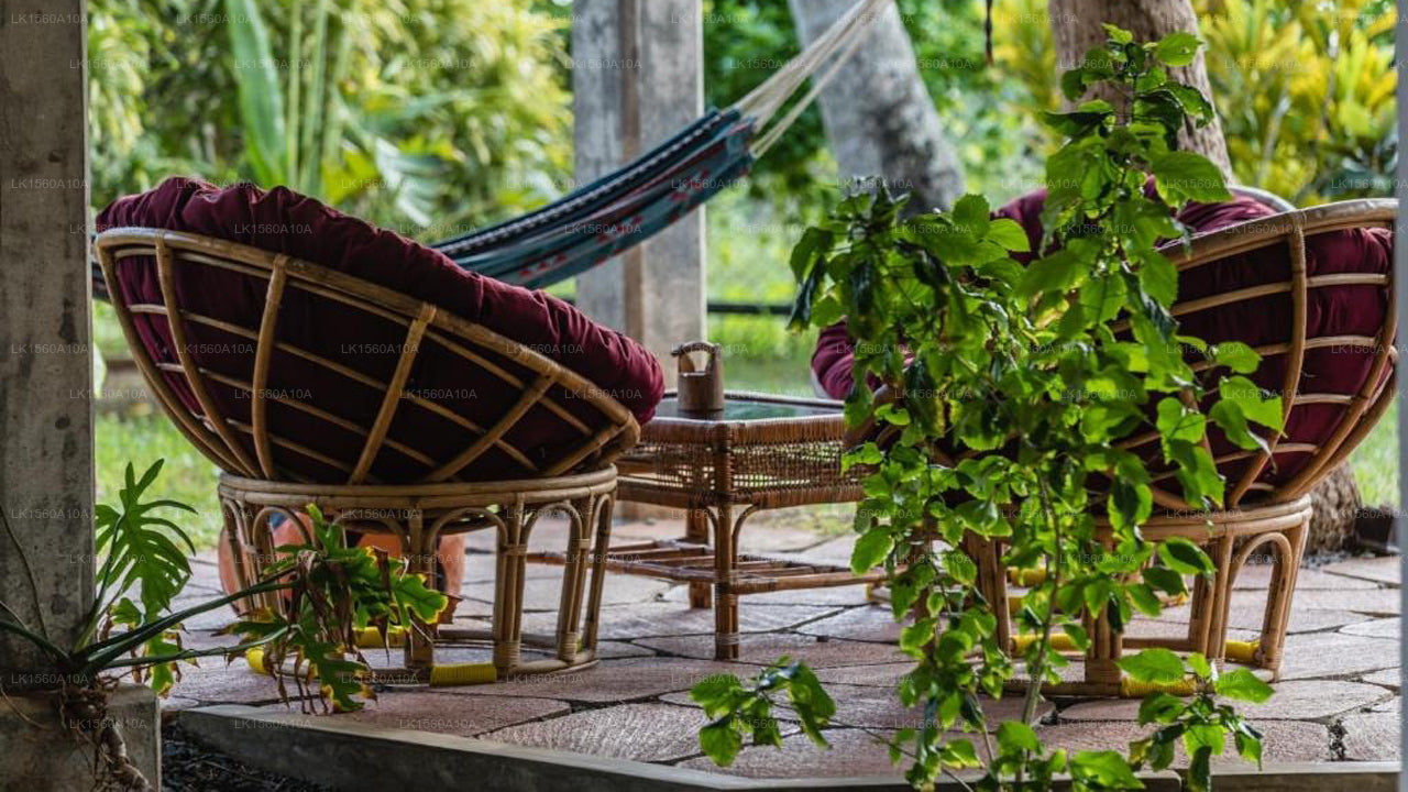 Seven Turtles, tangalla