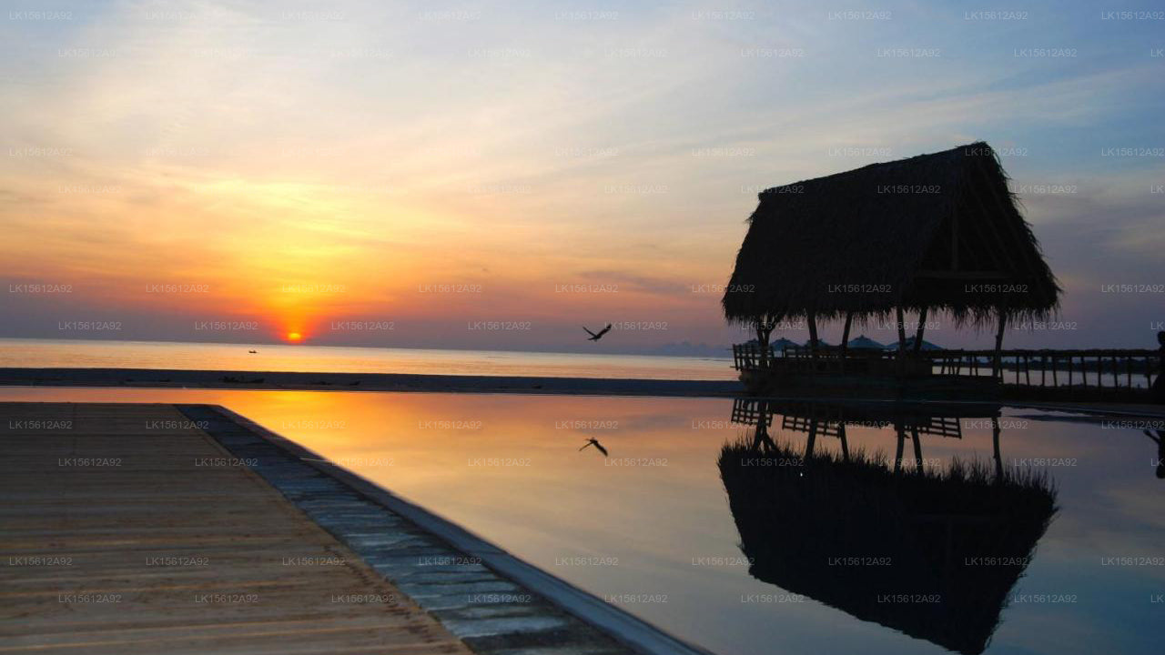 Maalu Maalu Resort & Spa, Pasikuda