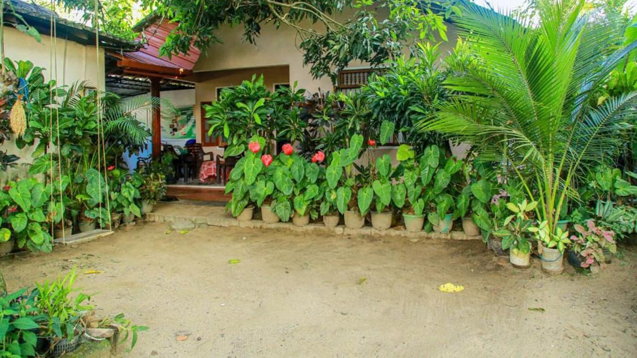 Sagopearl Guest, Mirissa