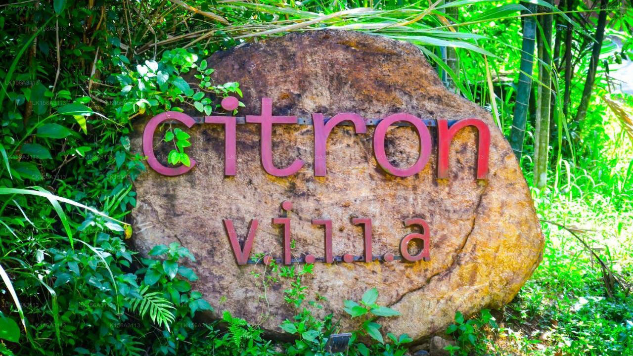 Citron Villa, Habaraduwa