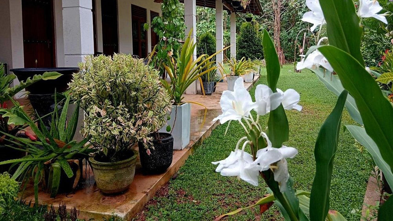 Cashew Villa, Hiriketiya