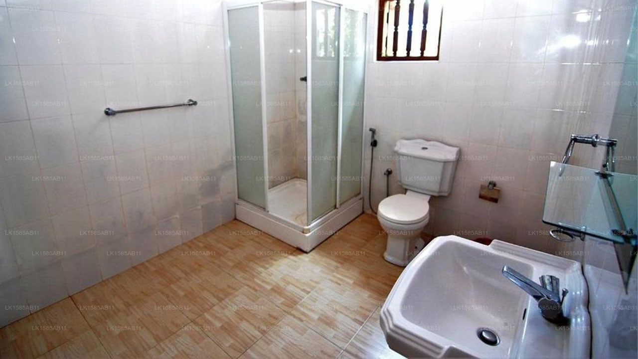 Mangrove Villa, Bentota