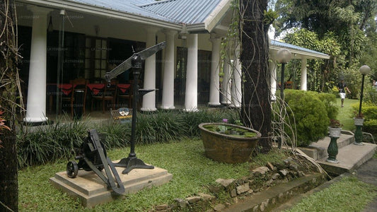 Clunes Villa Real, Dehiowita