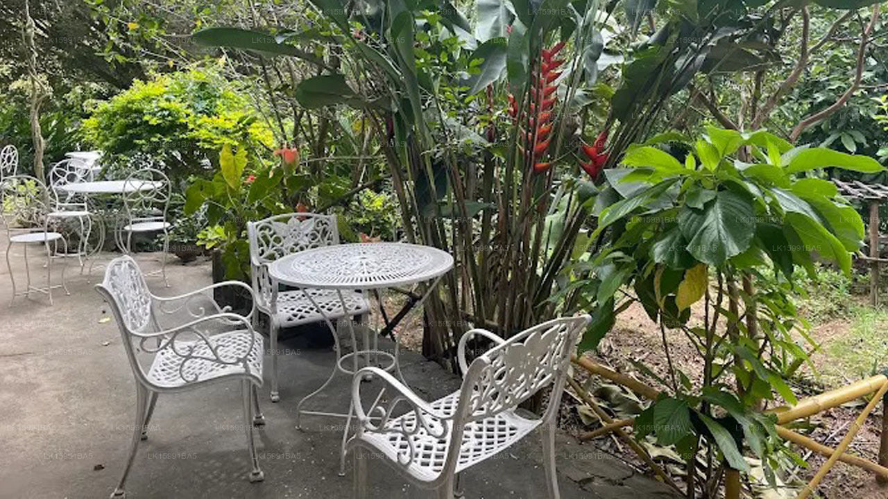 Amba Estate Farmstay, Ella