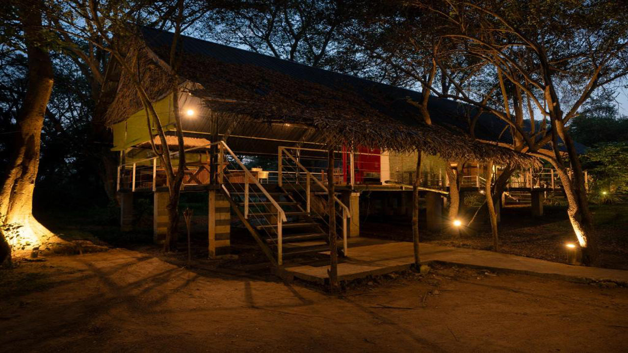 منتجع لاريا، سيجيريا