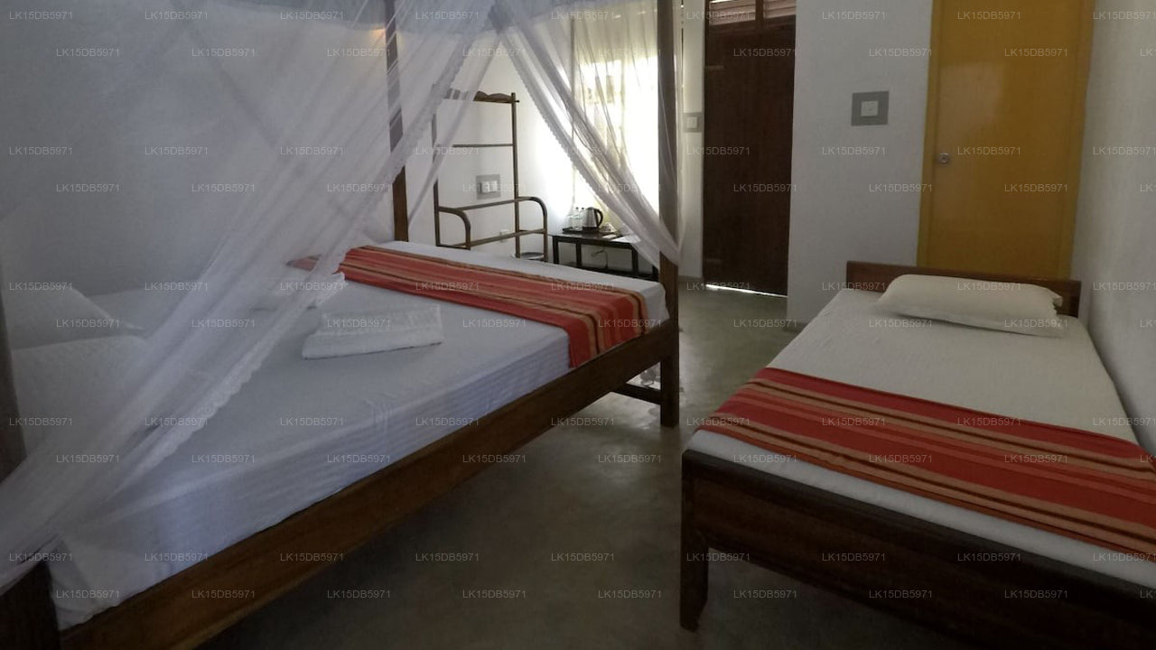 Dreamers lodge, Weligama