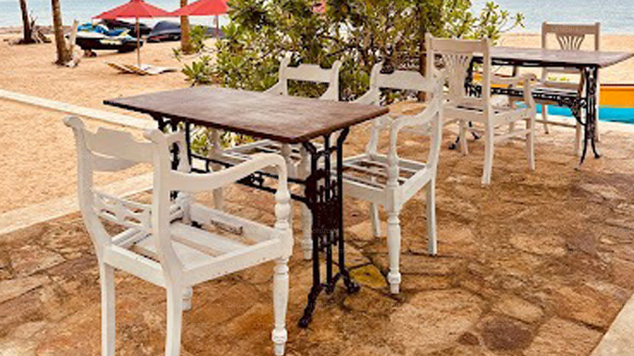 Dancing Dolphin, kalpitiya