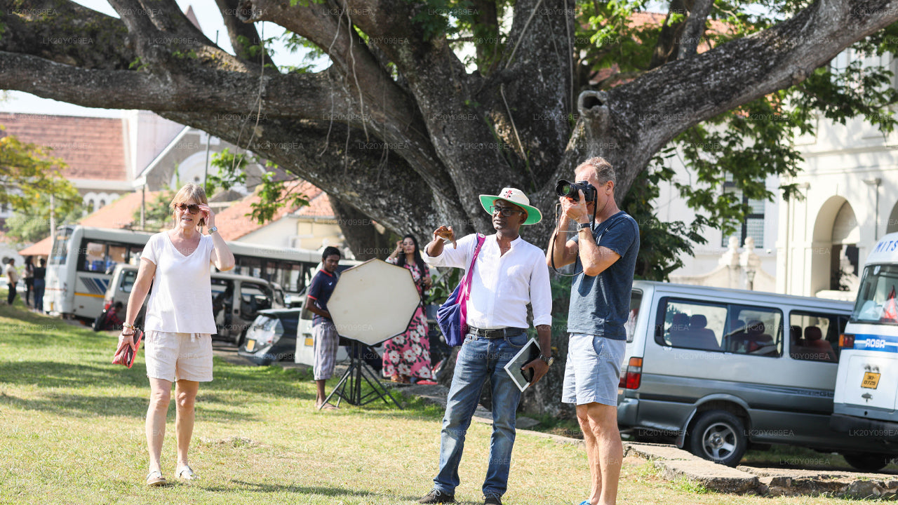 المرشدين المحليين