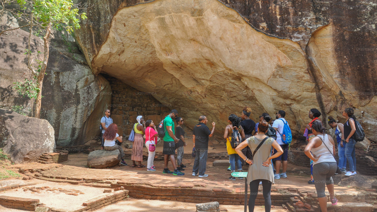 المرشدين المحليين