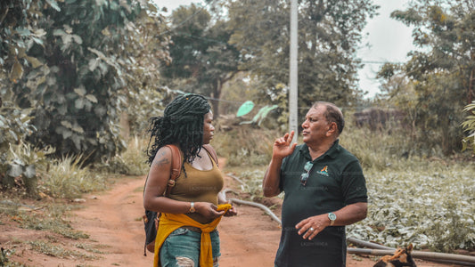 المرشدين المحليين